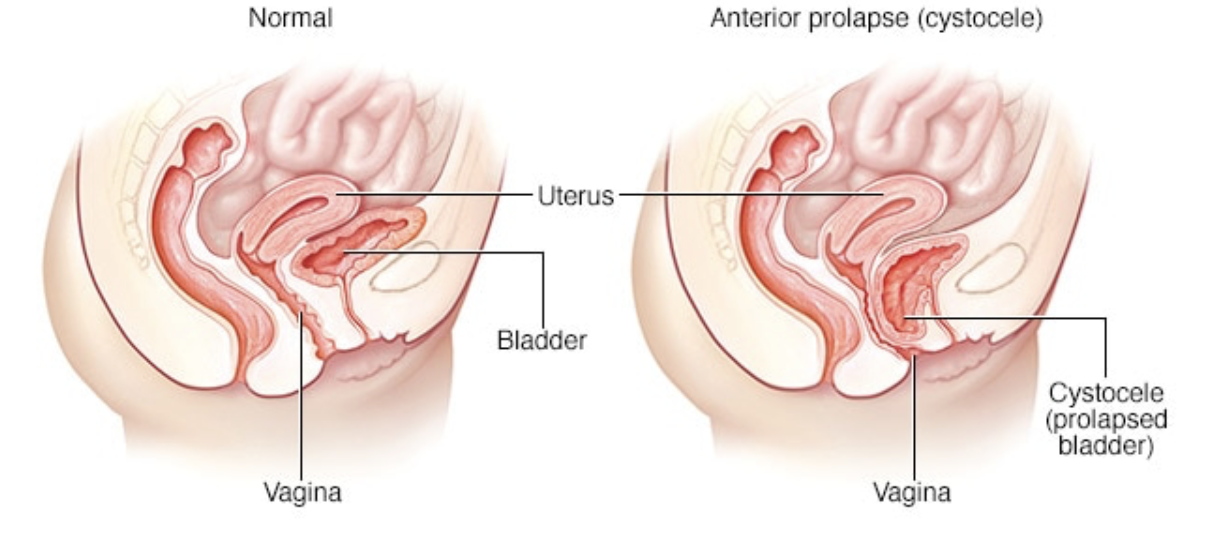 Helderberg Urology, Dr Ferdi Marais